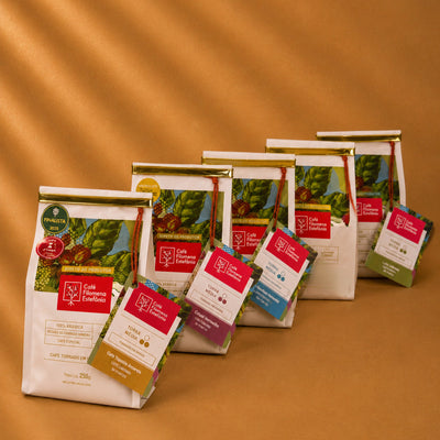 KIT COMPLETO TODOS CAFÉS ESPECIAIS - 5un
